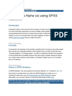 Cronbach's Alpha Spss