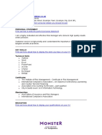 Finance Risk Manager CV Template