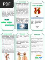 TRIPTICO Sistema Nervioso