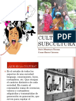 Cultura y Subcultura 2