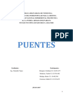 Nomenclatura Puentes PDF