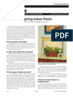 Lighting in Door Plants