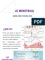 Ciclo Menstrual Final