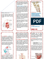 Triptico Sist Digestivo 2