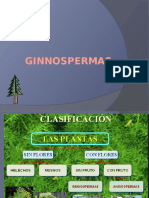 GINNOSPERMAS