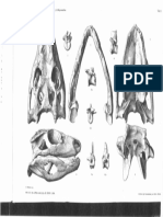Stromer 1914 Libycosuchus A3 Plate