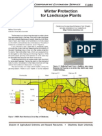 Winter Protection For Landscape Plants