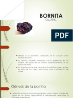 BORNITA