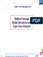 Wellbore Storage PDF