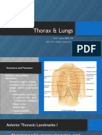 Thorax & Lungs: Prof. Lopez, MSN, RN NSG 103: Health Assessment