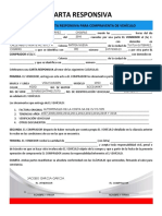 Formato Carta Responsiva