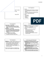 Pathology Notes 2009