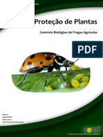 Proteção Plantas