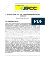 Pathophysiology and Classification of Kidney Diseases