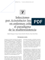 Infecciones Por A. Baumannii en Enfermos Cri Üticos. El Paradigma de La Multirresistencia