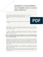 Como Ensinar o Cachorro Filhote A Fazer Xixi e Coco No Lugar Certo