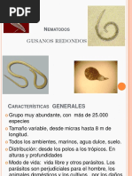 Nematodos PDF