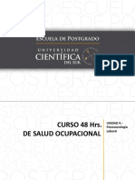 Unidad 4. - Psicosociología Laboral - Lic. Veónica Albarran PDF