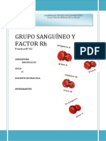 1grupo Sanguíneo y Factor RH