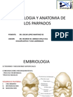 Embriologia y Anatomia de Los Parpados