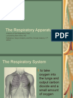 The Respiratory Tract