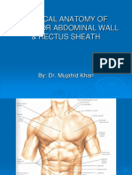 Hafizah Binti Mohd Hoshni Musculoskeletal Anatomy Abdominal Wall