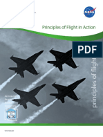 Principles of Flight in Action 9 12