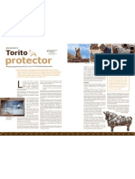 Torito Protector