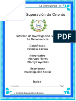 Informe de Investigacion Sobre La Delincuencia