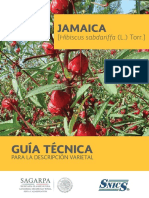 Guía para La Descripción Varietal de La Jamaica