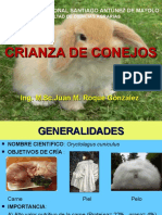 Cria de Conejos