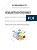 Trabajo de Investigación Sobre Sistema Somatosensorial