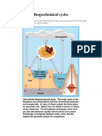 Biogeochemical Cycles