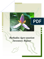 Agro Tourismfinalreport 130206191623 Phpapp01