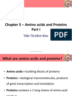 Chapter 5 - Amino acids and Proteins: Trần Thị Minh Đức