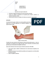 1 - Guía Punción Arterial PDF