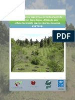 1.2 5 Manual Mejores Practicas Restauracion Especies Nativas PDF