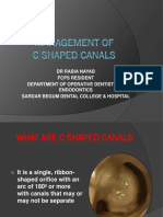 C Shaped Canals