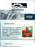 Encurtidos de Verduras