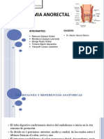 Anatomia AnorrectaL