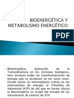 Bioenergética y Metabolismo Energético