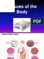 Body Tissues