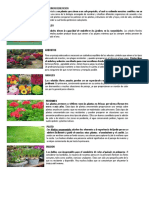 Tipos de Plantas Ornamentales y Algunos Beneficios