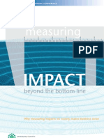 Measuring Impact Beyond The Bottom Line