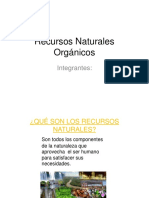 Recursos Naturales Orgánicos TEORIA