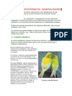 Standar Canarios Lipocromos PDF