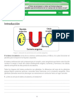 Sistema Endocrino Aprende Colombia Lectura y Ejercicios