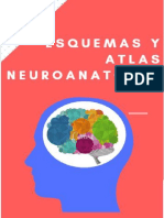 Esquemas y Atlas Neuroanatomia