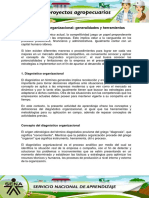 Diagnóstico Organizacional Generalidades y Herramientas PDF