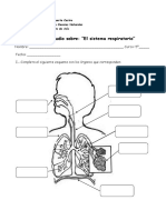 Guía de Estudio Sistema Respiratorio 5º Ok